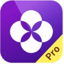 NEXT Pay Logo
